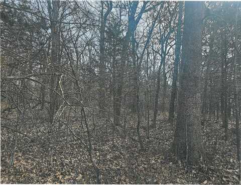 000 Pomme De Terre Road, Branson, MO 65616
