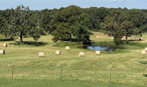 4720 Highway 95, Mountain Grove, MO 65711
