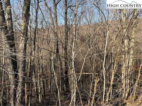 134 Lower Snowbird Trail, Beech Mountain, NC 28604
