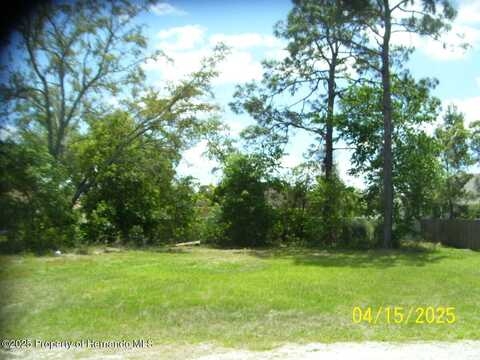 14228 Spring Hill, Spring Hill, FL 34609