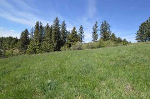 1489 Woodland Rd, Kamiah, ID 83536