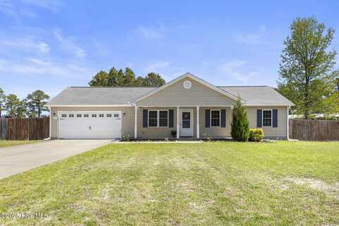217 Michel Court, Hubert, NC 28539