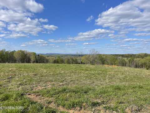 Lot 7 Laura Boling Loop Rd, Strawberry Plains, TN 37871