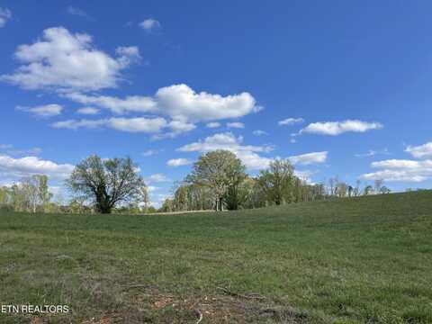 Lot 3 Laura Boling Loop Rd, Strawberry Plains, TN 37871