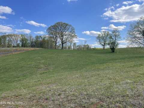 Lot 4 Laura Boling Loop Rd, Strawberry Plains, TN 37871