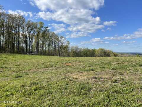 Lot 8 Laura Boling Loop Rd, Strawberry Plains, TN 37871