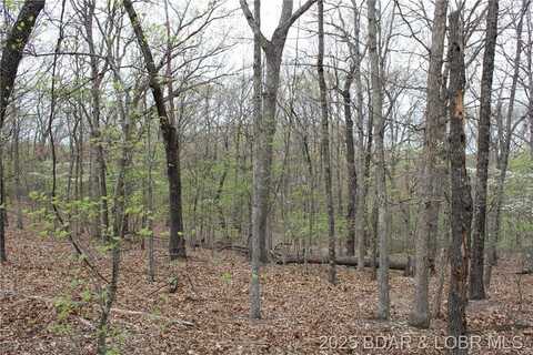 TBD State Road F, Sunrise Beach, MO 65079