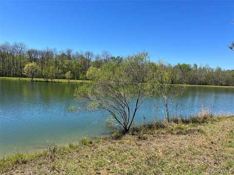 Leahmon Lane lot: 1, Mathews, AL 36052
