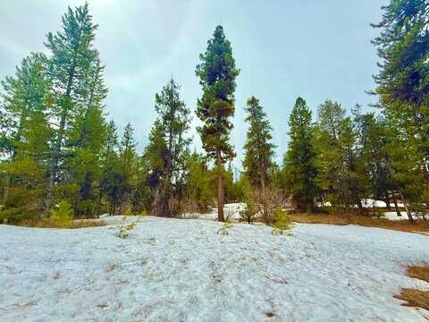 Finn Church Lane, McCall, ID 83638