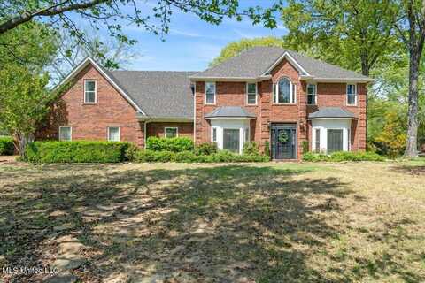 8538 Collinswood Drive, Olive Branch, MS 38654