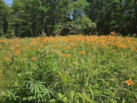 15 Eagle Lane, Damariscotta, ME 04543