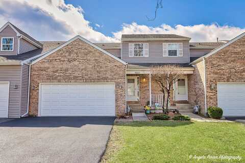 11369 Timer Drive, Huntley, IL 60142