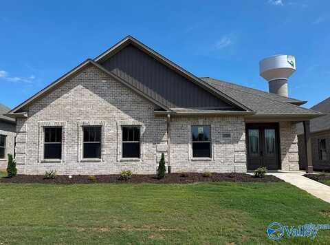 64 Lot Narayan Street, Madison, AL 35756