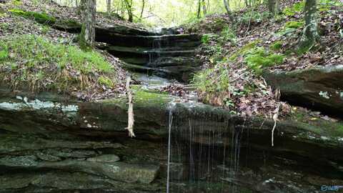 001 County Road 84, Danville, AL 35619