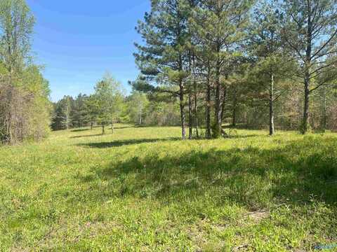 001 County Road 84, Danville, AL 35619
