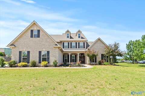 7400 Nature Walk Way, Owens Cross Roads, AL 35763