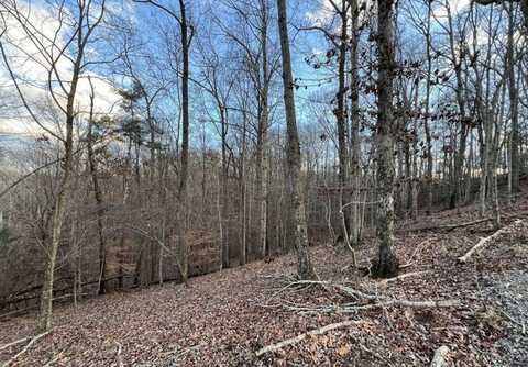 Crown Court, Ellijay, GA 30540