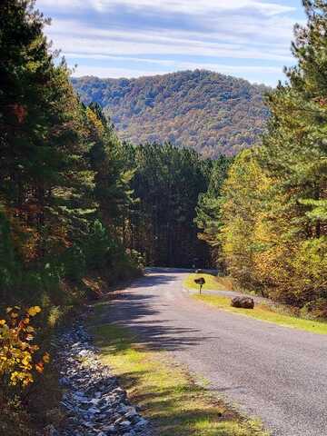 Lot 6 Black Bear Ridge Road, Ellijay, GA 30536