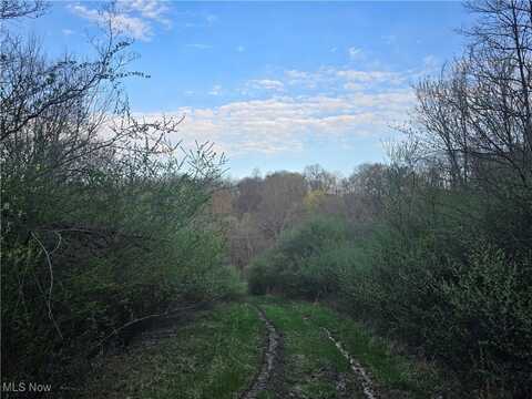 Township Rd 375, Warsaw, OH 43844