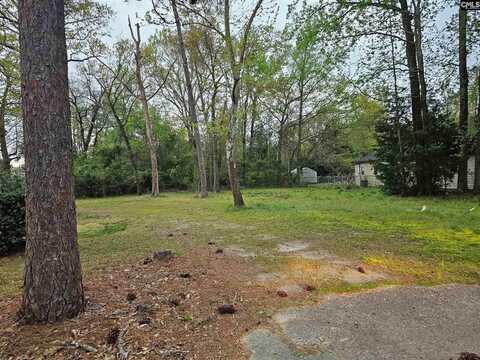 0 Platt Springs, West Columbia, SC 29169