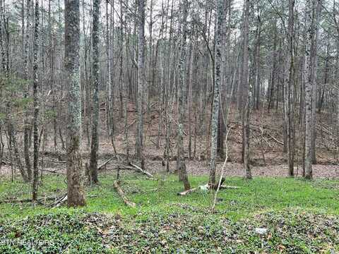 Butler Road Lot 4, Decatur, TN 37322