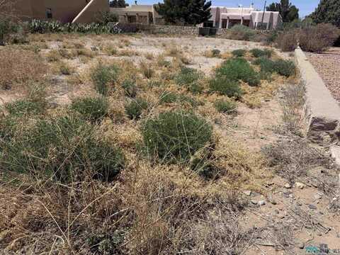 0000 SE Eagle Rd Road, Deming, NM 88030