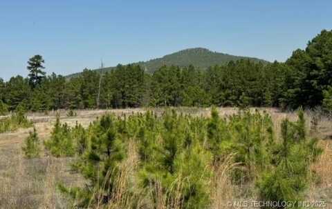 9090 N Hwy 270, Wilburton, OK 74547