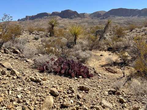 TR 5269 Missle Dr., Terlingua, TX 79852