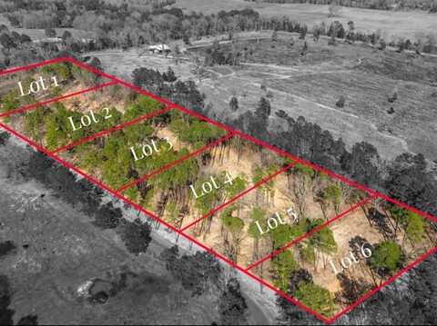 Lot 4 County Road 2540, Mineola, TX 75773