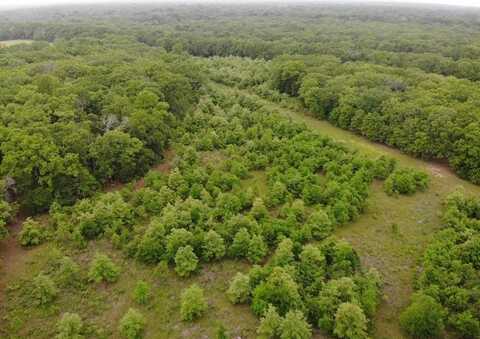 Lot 25 Rains County Road 2610, Alba, TX 75410