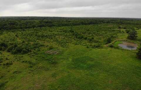 Lot 6 Rains County Rd 2610, Alba, TX 75410