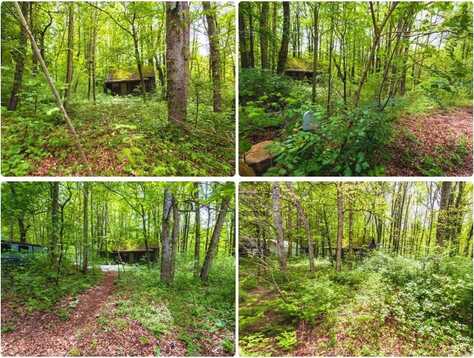 1524 Lin Creek Rd, Sevierville, TN 37876