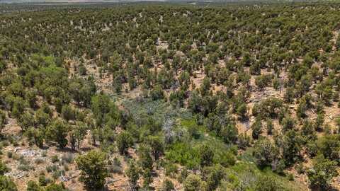 000 TBD CR 116, Hesperus, CO 81326