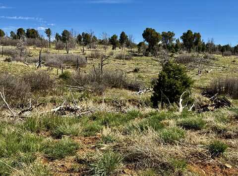 000 TBD CR 116, Hesperus, CO 81326