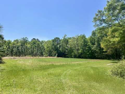 291 Pine Trail, Evergreen, AL 36401