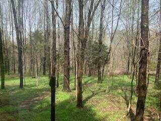 3337 Chaney Pike, Finley, KY 42718