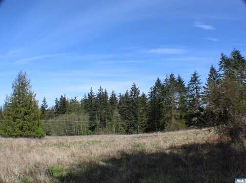 999 Oso Vista, Sequim, WA 98382