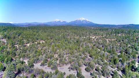 23251 Spirit Mountain Dr, Aguilar, CO 81020