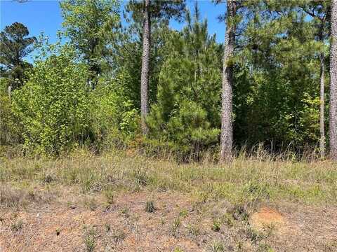 Greenburt Road, Seale, AL 36875