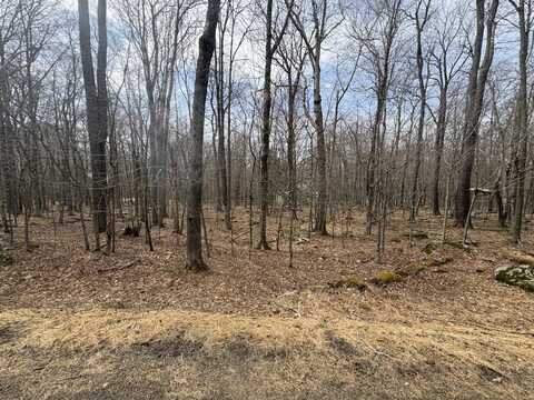 34 Tuscarora Trail, Gouldsboro, PA 18424