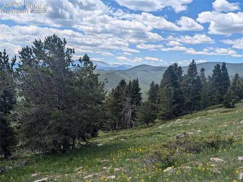 UPPER APEX Road, Black Hawk, CO 80422