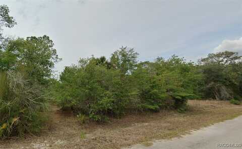9472 N Alder Avenue, Crystal River, FL 34428