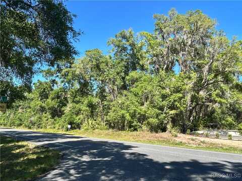 9319 S Florida Avenue, Floral City, FL 34436