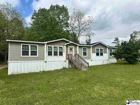 498 Jim Rivers Rd, Chesterfield, SC 29709