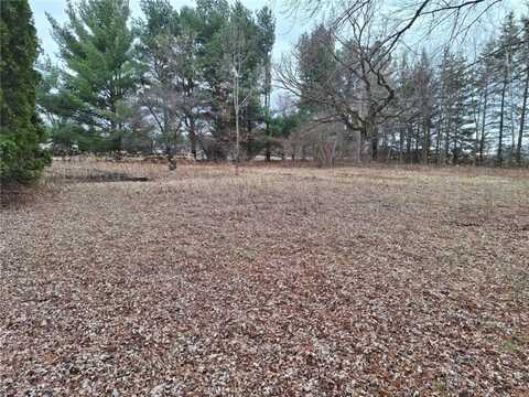 0 164th Street, Chippewa Falls, WI 54729