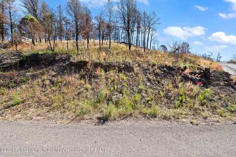 210 Sandia Road, Ruidoso, NM 88345