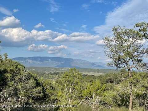 108-110 Lynx Road, Capitan, NM 88316