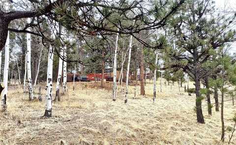 103 Adair Circle, Florissant, CO 80816
