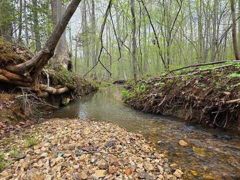 Spring Grove Rd, Spout Spring, VA 24593