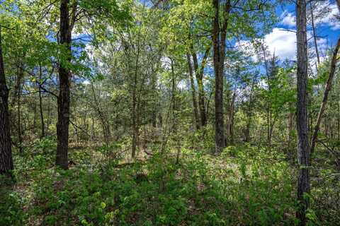 Lot 29 Beach Drive, New Lisbon, WI 53950